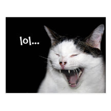 Laughing cat postcards