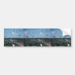 Laughing Gull Rookery Bumper Stickers