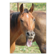 Laughing Horse Greeting Card