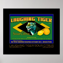 Laughing Tiger Sour Citrus fine art poster