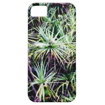 Lauhala , Hawaii iPhone 5 Cover