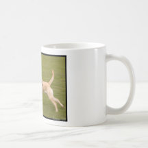 Launch! Coffee Mugs