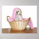 Laundry helper poster