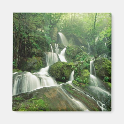 Laurel Falls, Tennessee Refrigerator Magnet