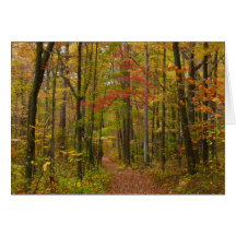 Laurel Hill State Park in Fall Card