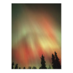 L'aurore Borealis, lumières du nord, Fairbanks Carte Postale