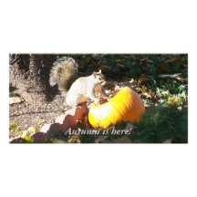 L'automne est ici ! photocartes