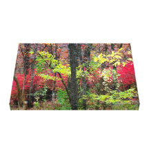 L'automne pittoresque Bush brûlant a enveloppé la  Toile Tendue