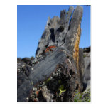 Lava Crators Post Card