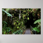 lava tube kilauea crater big island volcano posters
