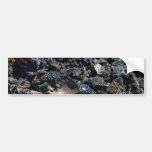 Lava Volcanos Iridescent Iridescence Bumper Sticker