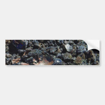 Lava Volcanos Iridescent Iridescence Bumper Sticker
