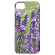 LAVENDAR 1 iPhone 5 COVERS
