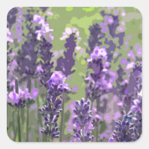 LAVENDAR 1 STICKER