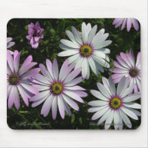 Lavendar Daisies Mousepad