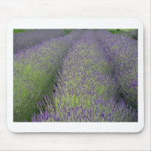 LAVENDAR FIELD MOUSEPADS