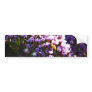 lavendar flower bumper sticker
