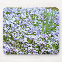 lavendar flowers mousepad