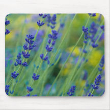Lavendar | Lavendel Mousepad