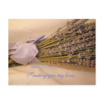 Lavendar Postcard