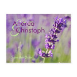 Lavendel • Save-the-Date-Postkarte