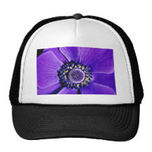 Lavender anemone, close-up  flowers mesh hats