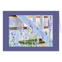 Lavender at the Stairs Greeting Cards