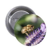 Lavender Bee Pin