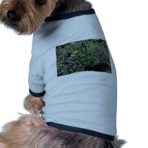 Lavender Blue-Eyed Grass (Sisyrinchium Angustifoli Doggie T-shirt