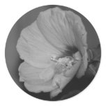 Lavender Chiffon Hibiscus stickers