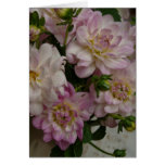 lavender dahlias cards