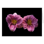 Lavender Day Lilies ~ card