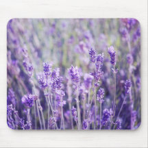 Lavender Field Mousepads
