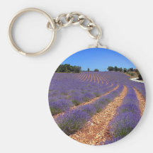 Lavender field porte-clés