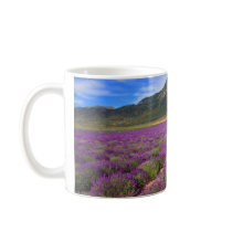 Lavender Fields Forever Mug