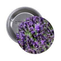 Lavender Fields Round Button