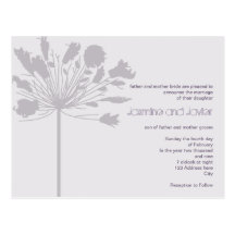 Lavender Flora Postcards