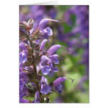 Lavender Flower Greeting Card