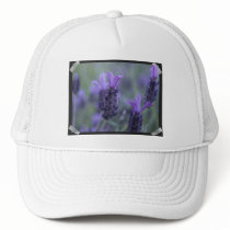 Lavender Flower Photo Baseball Hat