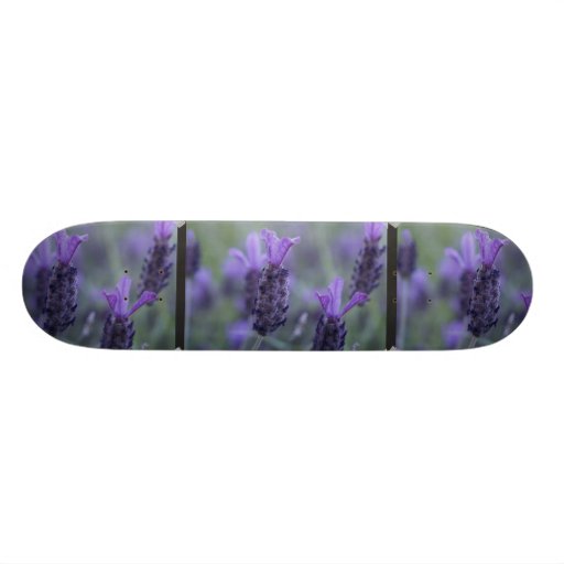 Lavender Flower Photo Skateboard