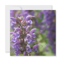 Lavender Flower Poster Print Personalized Invitation