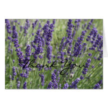 Lavender Flowers Thank You Card