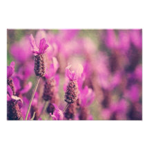 Lavender Garden Photo with Damask Swirls.