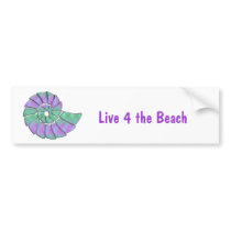 Lavender & Green Nautilus Shell