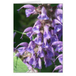 Lavender Greeting Card
