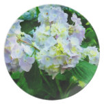 Lavender Hydrangea in Garden Party Plates