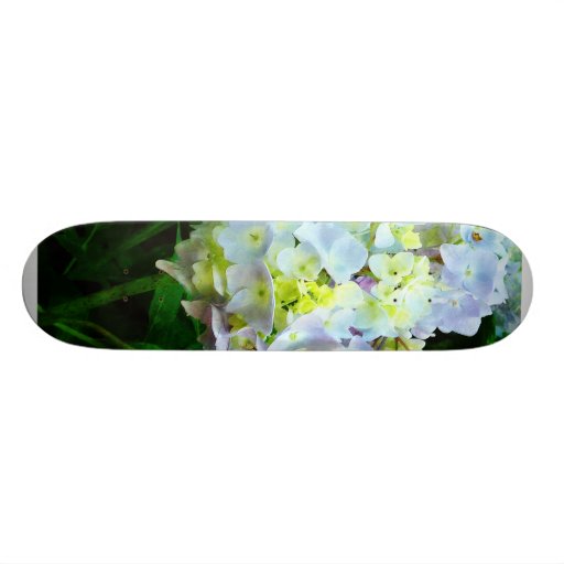 Lavender Hydrangea in Garden Skateboards
