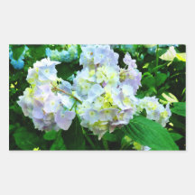Lavender Hydrangea in Garden Sticker