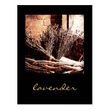 lavender in a basket postcard
