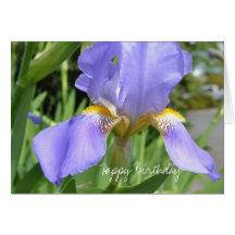 Lavender Iris Birthday Greeting Card